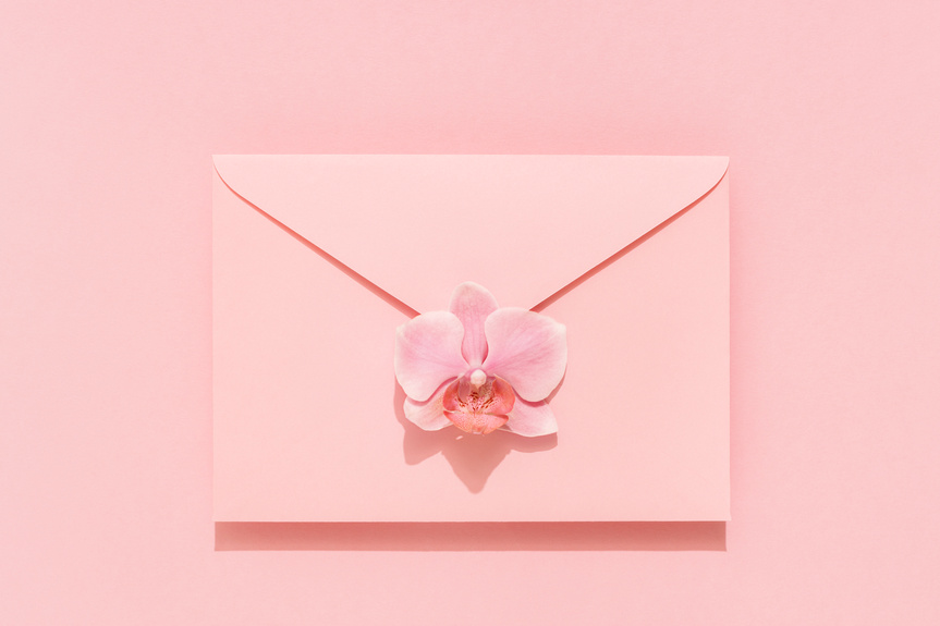 Orchid Flower on Pink Envelope 